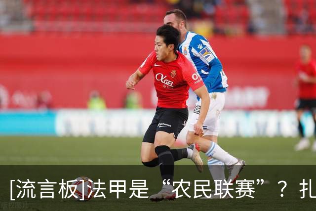 [流言板]法甲是“农民联赛”？扎巴尔尼：法甲的比赛从来都不轻松